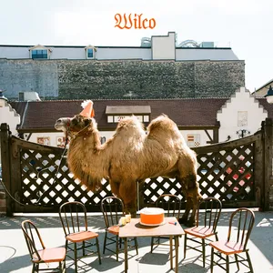 Wilco (the album)